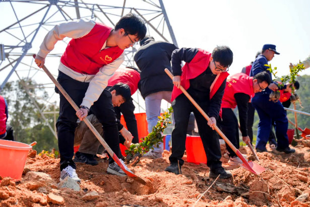 乡村振兴︱福建炼化志愿者为三朱村添新绿