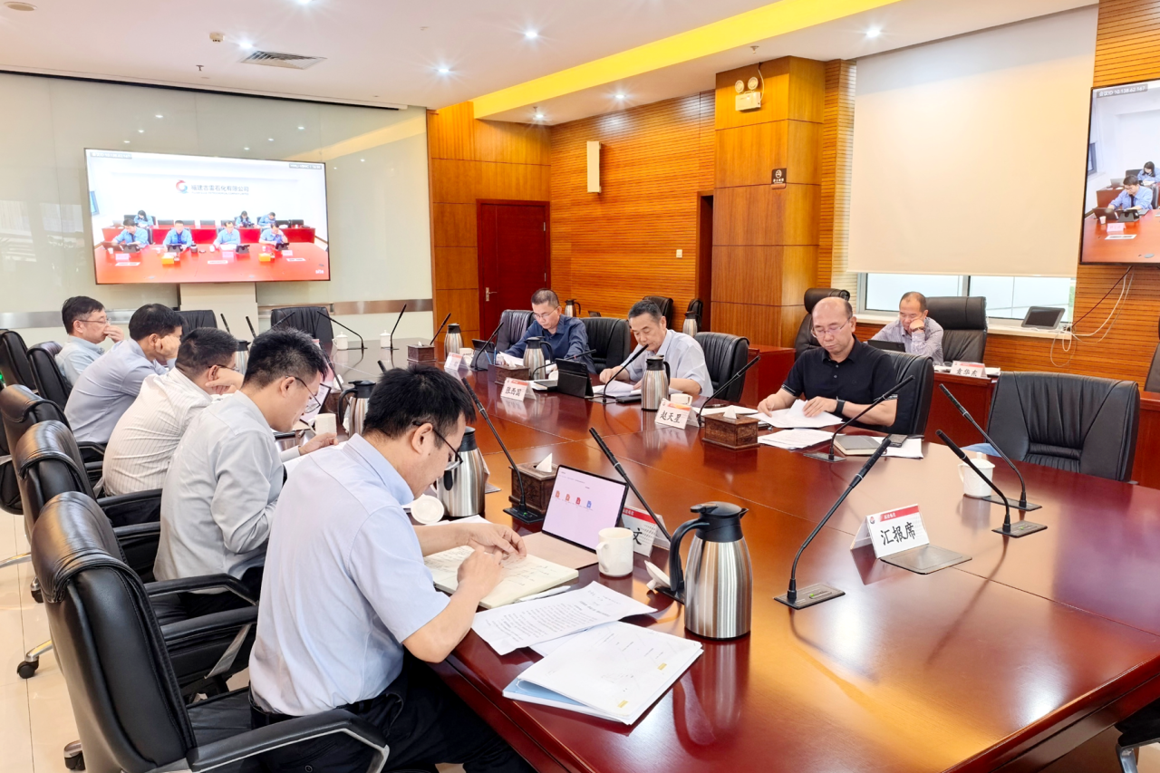 公司党委树立和践行正确政绩观学习教育读书班进行第三次集体学习